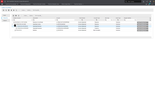 CloudSuite Healthcare: Revenue Accounts
